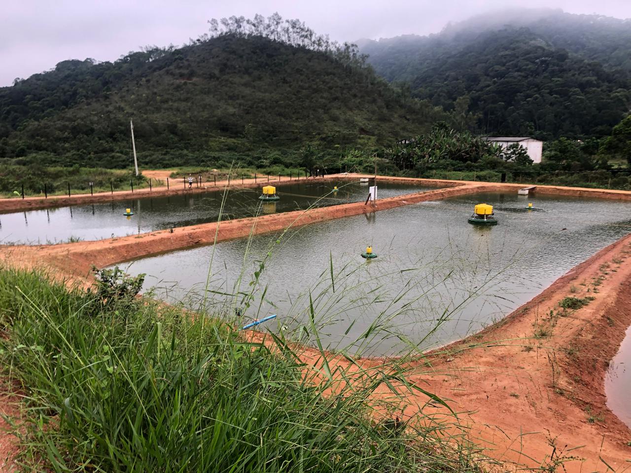 Foto da Notícia
